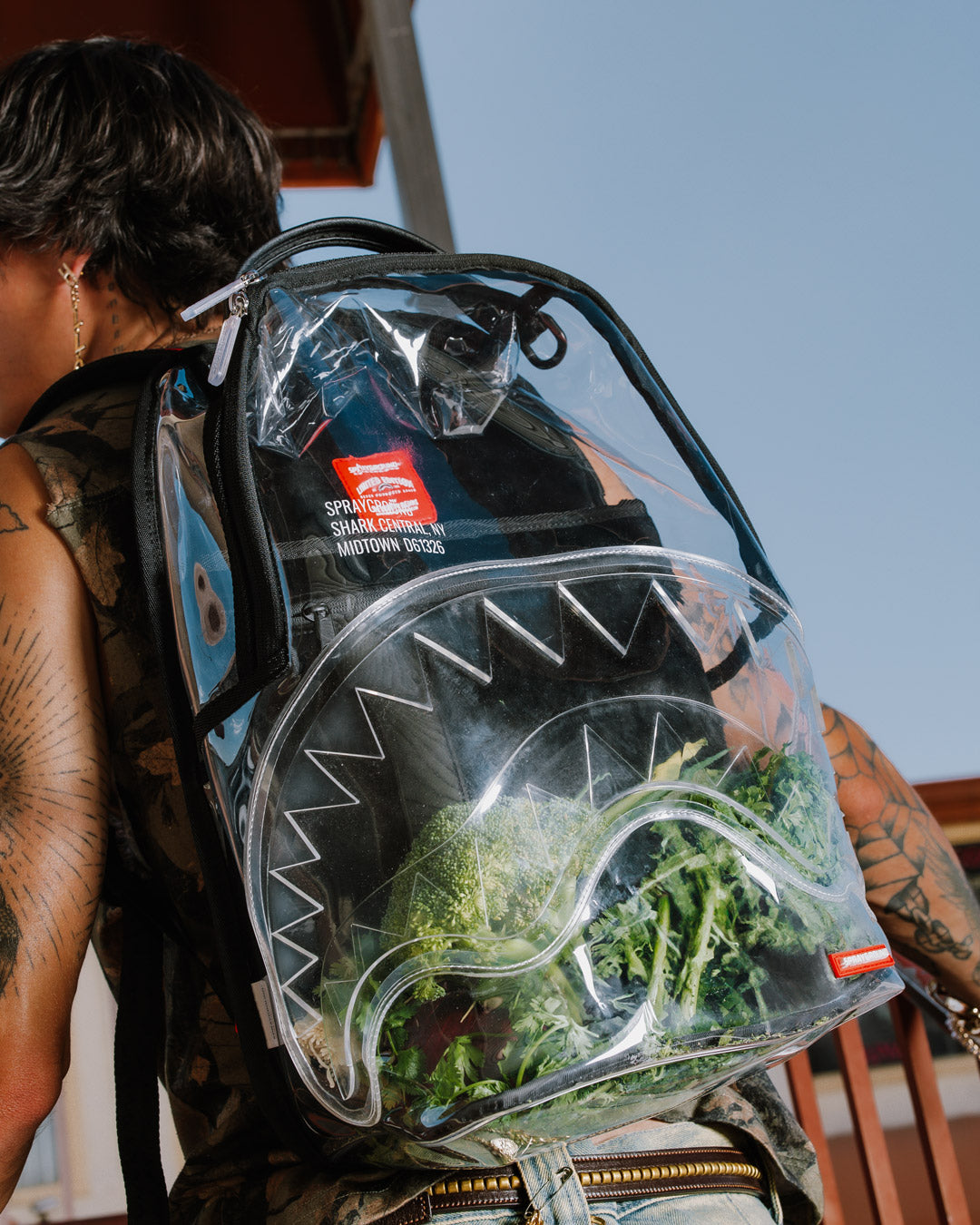 CLEAR BACKPACK - SHARK CENTRAL - Image 2